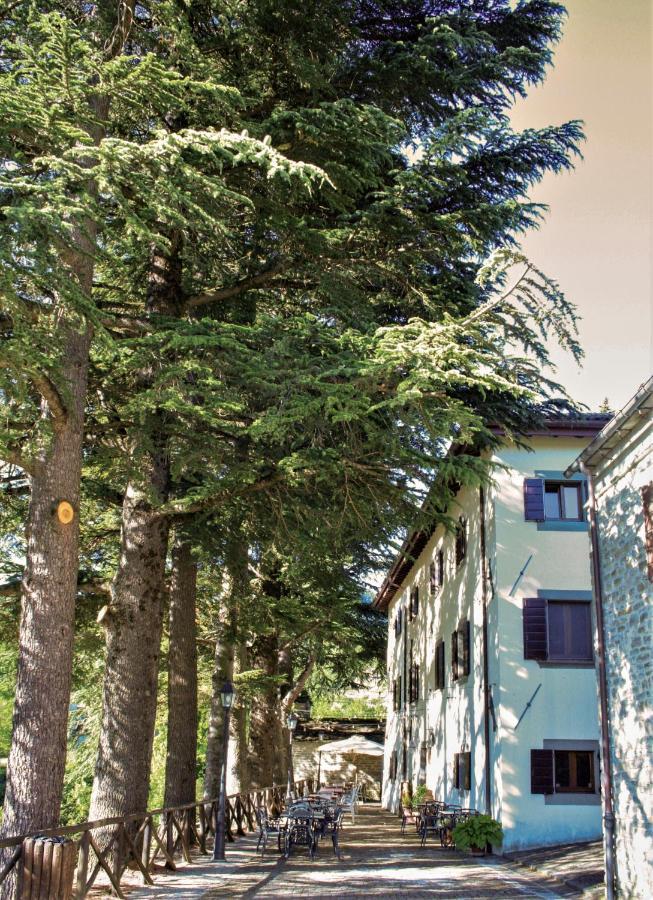 Hotel Il Palazzo Ridracoli Bagno di Romagna Exteriér fotografie